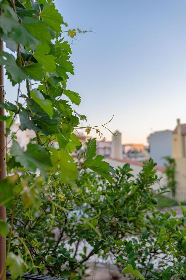 Marthas Delight Rooms Chania  ภายนอก รูปภาพ